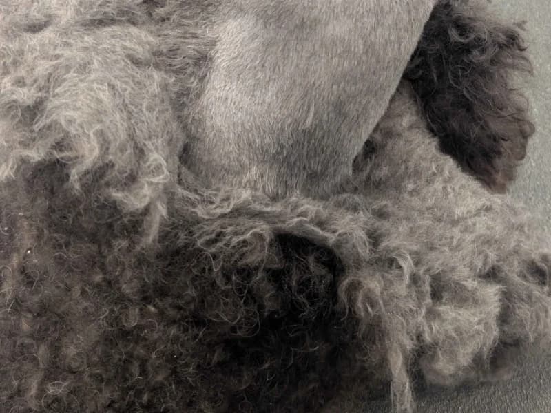 Matting down to the skin
